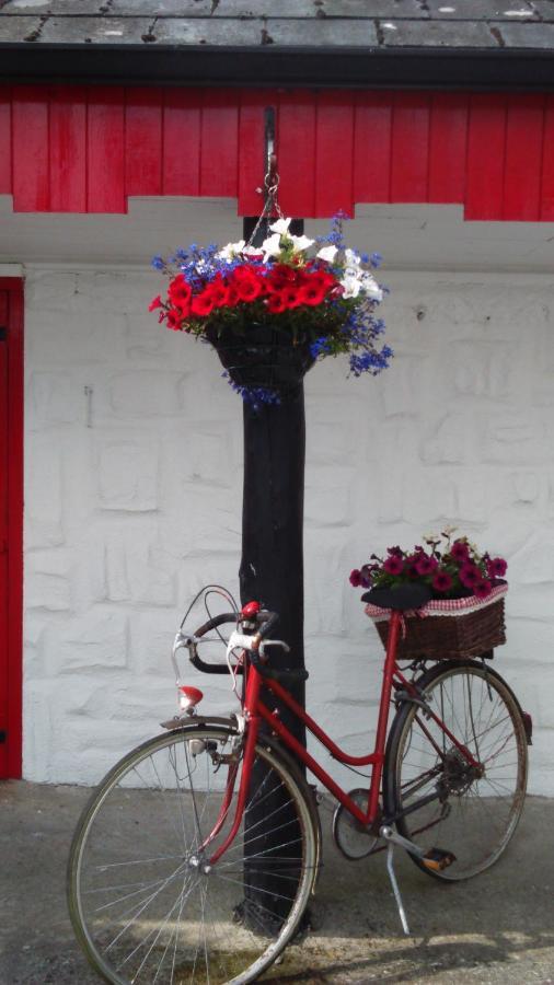 Cummins Cottages Ballycrossaun Extérieur photo