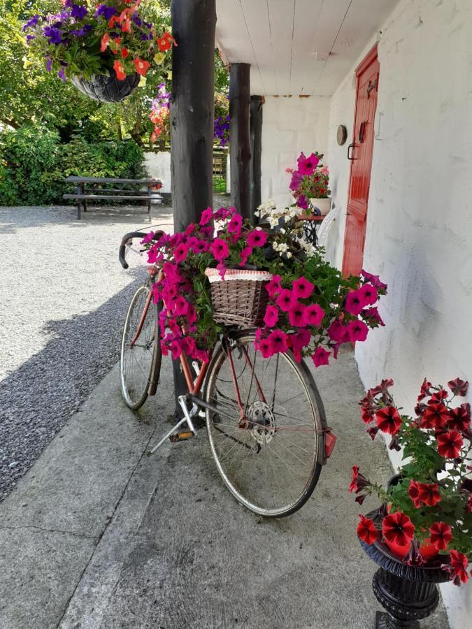 Cummins Cottages Ballycrossaun Extérieur photo