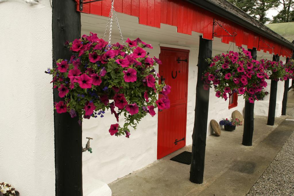 Cummins Cottages Ballycrossaun Extérieur photo