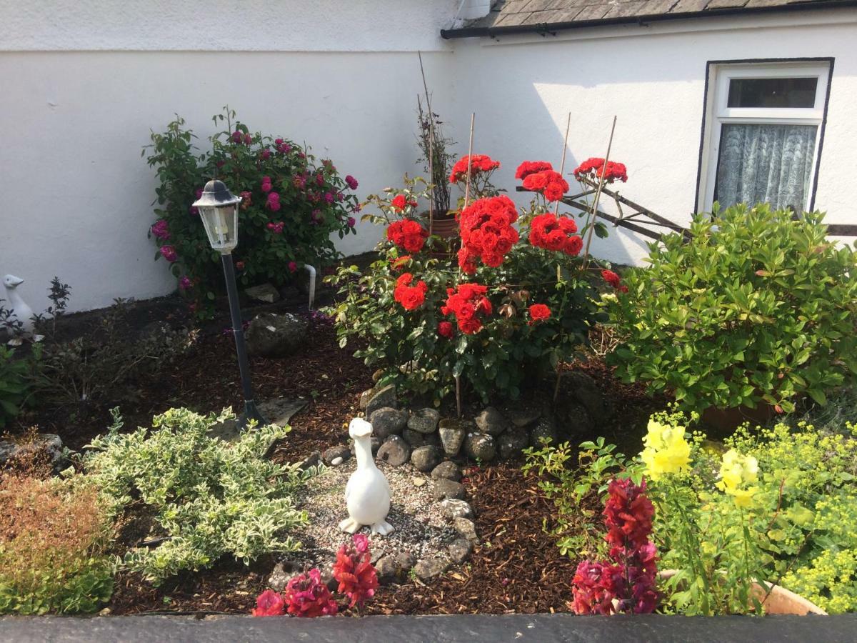 Cummins Cottages Ballycrossaun Extérieur photo