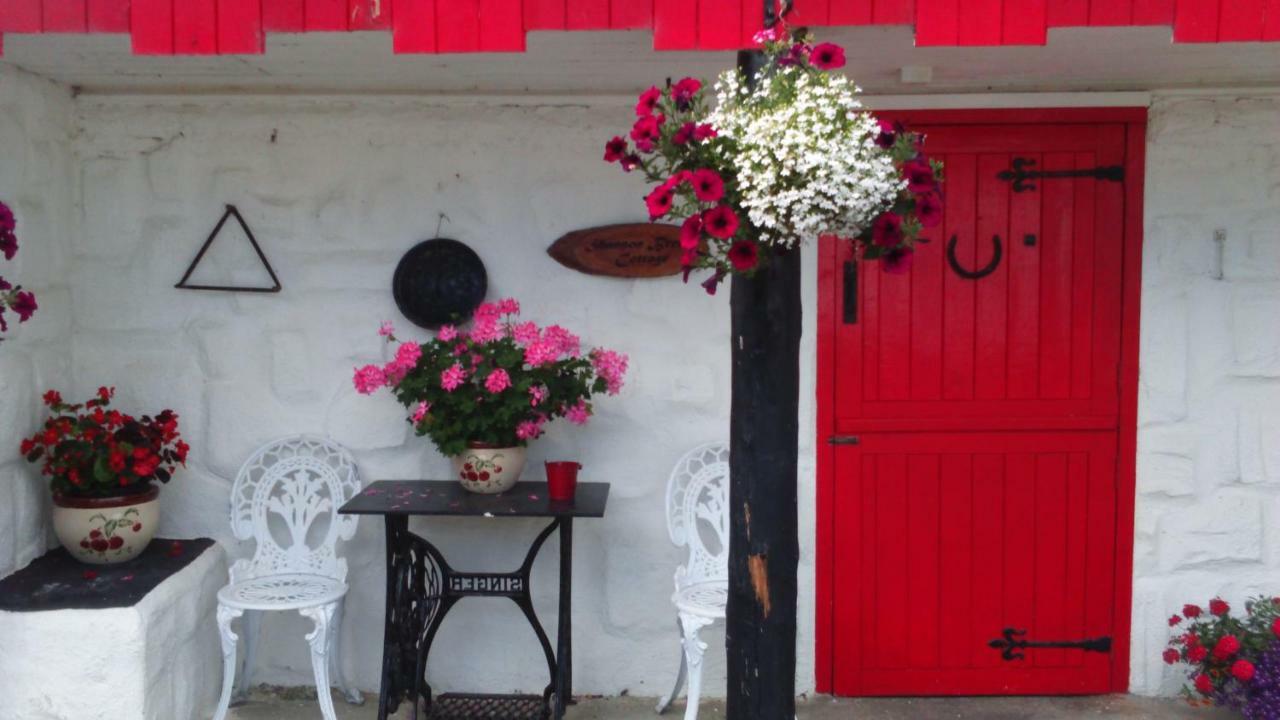 Cummins Cottages Ballycrossaun Extérieur photo