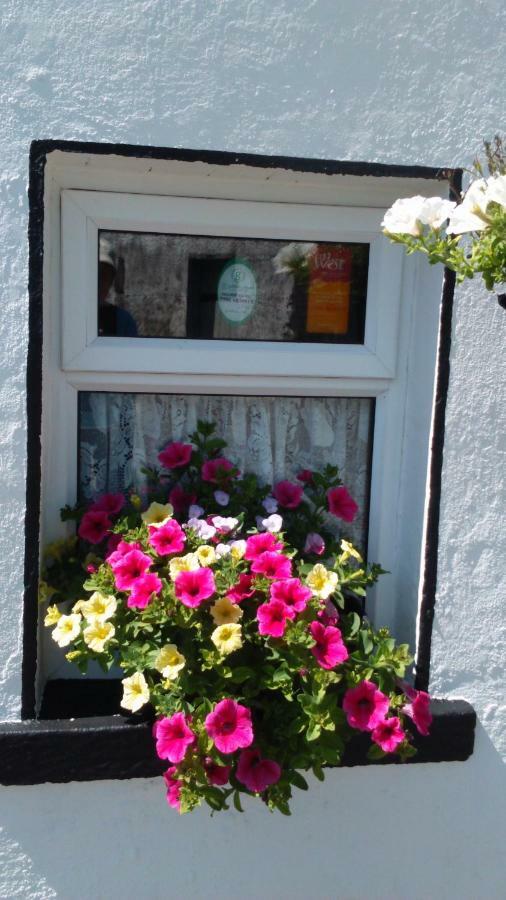 Cummins Cottages Ballycrossaun Extérieur photo
